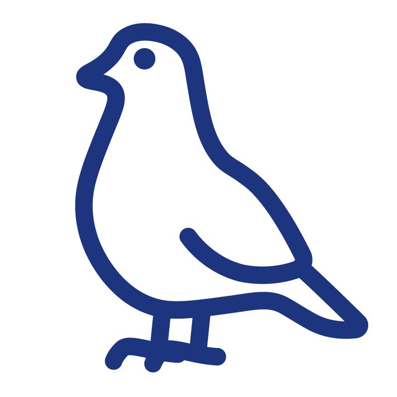 鳩対策のアイコン